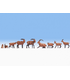 Animale alpine H0 Noch 15742