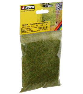 Iarbă pajiște de vară Noch 08310