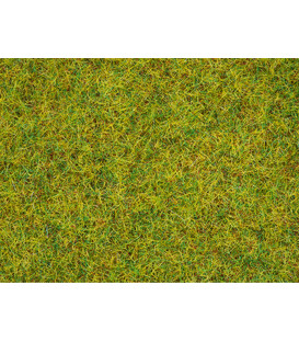 Iarbă pajiște de vară Noch 08310