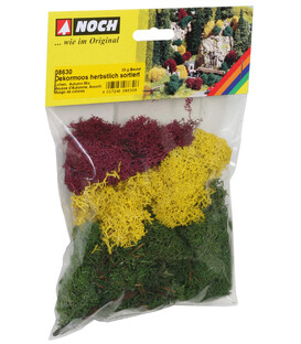 Licheni toamnă Noch 08630