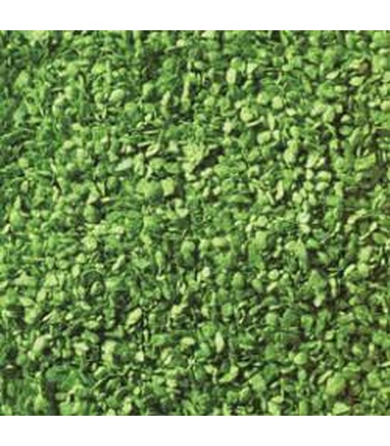 Granule medii frunze verde deschis