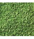 Granule medii frunze verde deschis